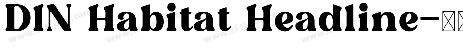 DIN Habitat Headline字体转换